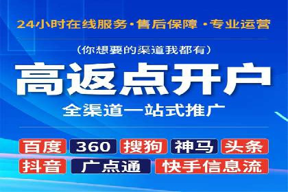 百度SEO推广策略案例：一家公司的成功转型之路